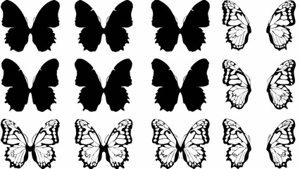 Wall Mural - Assortment of butterfly wing illustrations in black and white on a white background displaye d in rows