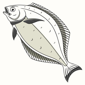 Halibut  fish vector illustration perfect for posters, icon, t-shirts, cards, wall art prints and ai design.