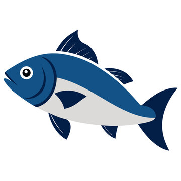 Sea Bass  fish vector illustration perfect for posters, icon, t-shirts, cards, wall art prints and ai design.