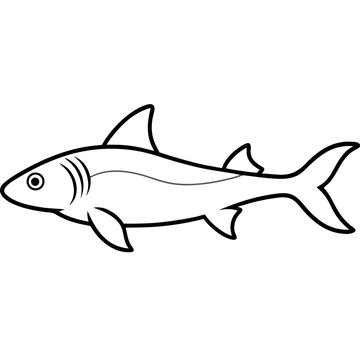 Dogfish  fish vector illustration perfect for posters, icon, t-shirts, cards, wall art prints and ai design.