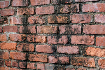 Poster - Detailed brick wall showing age and texture, ideal for backgrounds or textures. The rustic appeal and vibrant colors make it perfect for adding character to designs and projects.