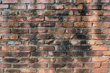 Poster - Aged brick wall showing weathering and color variations in the masonry. The rustic texture is emphasized by visible mortar joints and imperfections, perfect for backgrounds.
