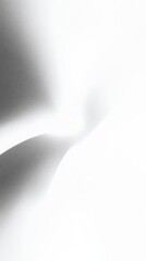 Poster - Abstract blurred noise gradient in black and white. Flowing soft light and shadow pattern. Minimalist grain texture.