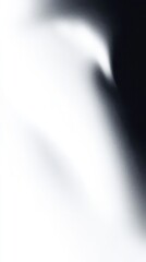 Poster - Abstract gradient background with subtle grain texture. Smooth transition from white to dark for modern design, web banner.