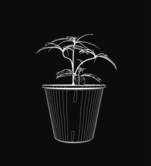Poster - A black and white contour drawing of a potted plant features clean white outlines against a dark background. The detailed leaves and pot create strong contrast, emphasizing the minimalist.