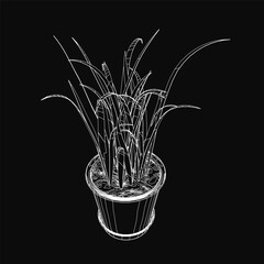 Poster - A black and white sketch of a potted plant with detailed leaves and stems, drawn in a contour style. The minimalist design stands out against a dark background.