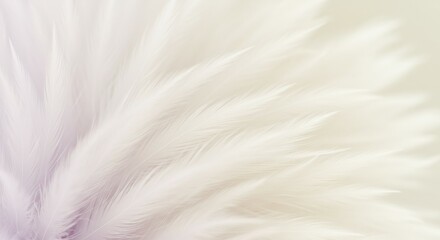 Aufkleber - Soft White Feathers Abstract Background with Pastel Tones