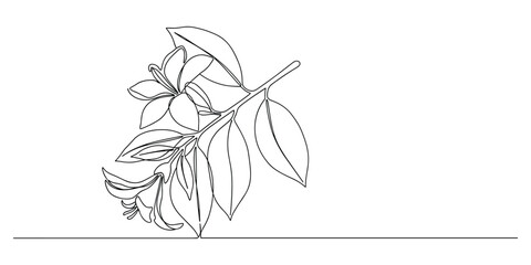 Poster - Continuous Line Drawing of Flower Branch, Minimalist Floral Illustration in Black and White Vector Illustration