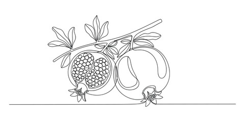 Poster - Pomegranates on Branch Single Line Drawing, Fruits, Branch, Decorative Design Vector Illustration