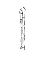 Aufkleber - Two Bamboo Stalks Illustration, Simple and Clean Line Art Style Drawing Isolated on White Background. Vector Illustration.