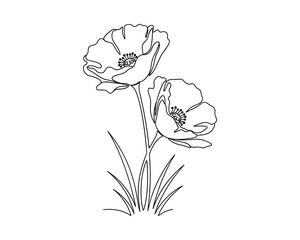Aufkleber - Two Poppy Flowers with Grass, Black Line Art Drawing, Isolated Floral Botanical Element, Outline Vector Illustration