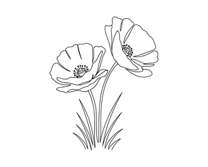 Aufkleber - Two Poppies Outline Floral Illustration on White Background, Detailed Blossom Design Vector Illustration.