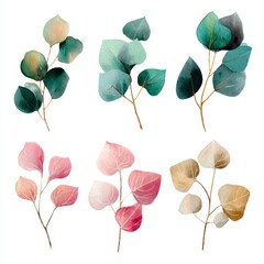 Poster - Six delicate eucalyptus branches arranged artfully, each exhibiting its unique shades and textures. The soft color palette gives a sense of grace and refinement