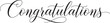 © vectolab - Vector art of elegant calligraphy script spelling congratulations isolated on white