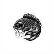 © HASSAN - Stylized Black and White Koi Fish Illustration.