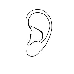 Poster - Human Ear Outline: A simple line art illustration of a human ear in profile view, showcasing its anatomical details in a minimalist style.
