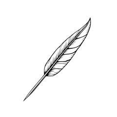 Poster - Elegant Quill Feather: A detailed line art illustration of a single, graceful feather, showcasing its intricate texture and delicate form against a white backdrop.