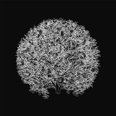 Poster - A black and white tree contour drawing features intricate lines and shapes on a dark background. The detailed design creates a striking visual with artistic elegance.