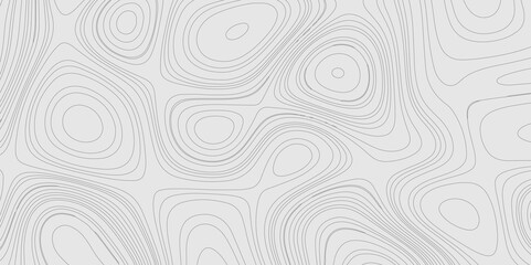 Fototapete - Geographic abstract topographic contour lines relief map seamless pattern concept of conditional geometric gray lines, mountain landscape terrain grid geometric stripes geographic relief line art.