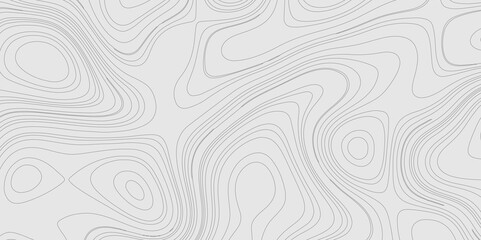 Fototapete - Geographic abstract topographic contour lines relief map seamless pattern concept of conditional geometric gray lines, mountain landscape terrain grid geometric stripes geographic relief line art.
