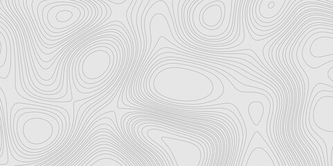 Fototapete - Geographic abstract topographic contour lines relief map seamless pattern concept of conditional geometric gray lines, mountain landscape terrain grid geometric stripes geographic relief line art.