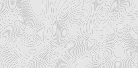 Fototapete - Geographic abstract topographic contour lines relief map seamless pattern concept of conditional geometric gray lines, mountain landscape terrain grid geometric stripes geographic relief line art.