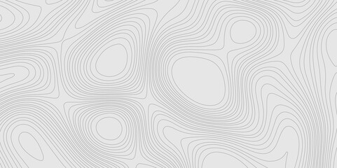 Fototapete - Geographic abstract topographic contour lines relief map seamless pattern concept of conditional geometric gray lines, mountain landscape terrain grid geometric stripes geographic relief line art.