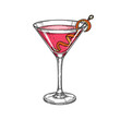 © Vellari - Colorful cocktail with snake garnish in a martini glass