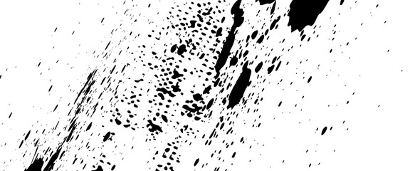 Poster - Black ink splat isolated on white background. abstract grunge background.