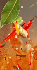 Aufkleber - Super Slow Motion of Flying and Rotating Spices Mix. Filmed on High Speed Cinema Camera, 1000 fps. Vertical Aspect Ratio. Speed Ramp Effect.