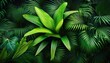 © Judith - lush green plant frame