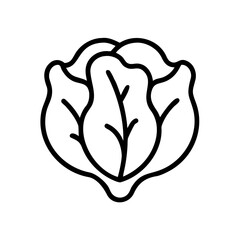 Poster - Outline drawing of a head of lettuce with detailed leaves and a simple, clean presentation style image