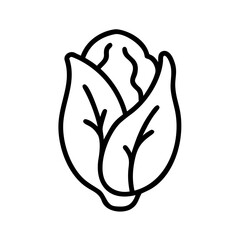 Poster - Outline drawing of a romaine lettuce head with detailed leaf veins and a rounded shape, isolated 100 chars