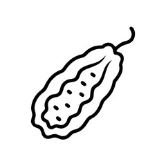 Poster - Simple line drawing of a bitter melon with seeds shown inside, on a white background surface view