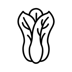 Poster - Outline drawing of a leafy green vegetable resembling romaine lettuce with prominent veins and a simple style