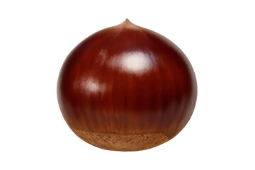 Fototapete - Glossy chestnut gleaming, symbolizing autumn's warmth, resting against transparent backdrop for design versatility
