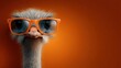 © Luminary Studio - Cartoonish ostrich with goofy expression wearing orange sunglasses