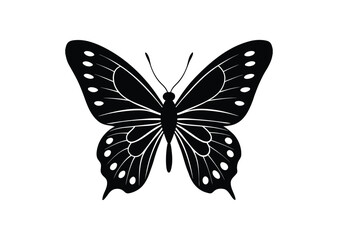 Butterfly silhouette black vector white background