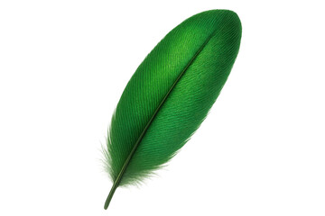 Poster - Green feather isolated on transparent background, showcasing its vibrant color and delicate texture