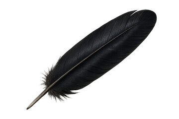 Poster - Close-up view of a black feather set against a transparent background, perfect for enhancing creative projects with its elegant design