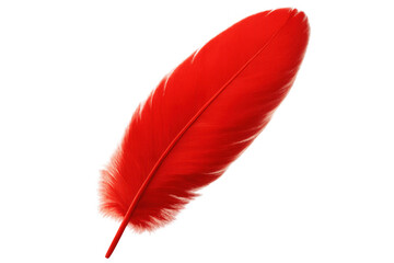 Poster - Single, vibrant red feather is isolated on a transparent background, ready for graphic design projects