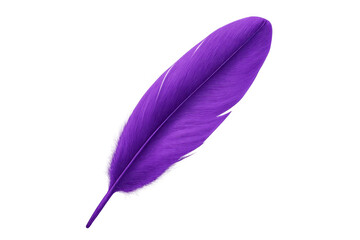 Poster - Purple feather floating against transparent backdrop, showcasing vivid hue and soft, wispy plumage with elegant simplicity