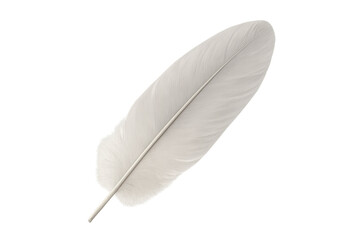 Poster - Single white feather with transparent background, ideal for graphic design projects related to lightness, purity, and softness