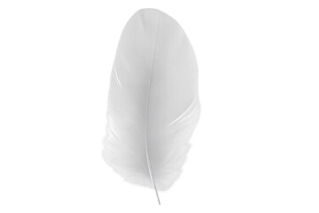 Poster - Delicate white feather softly glowing, isolated on transparent backdrop, perfect for creative compositing and graphic design elements