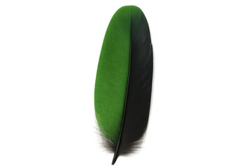 Poster - Green and black feather floating gently, showcasing its delicate texture and vibrant colors against a transparent background