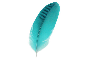 Poster - Single light turquoise feather floating gently on a transparent background, perfect for design projects