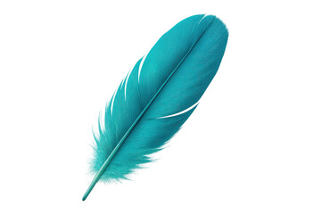 Poster - Turquoise feather gently drifting against transparent surface, symbolizing delicate elegance and creative inspiration