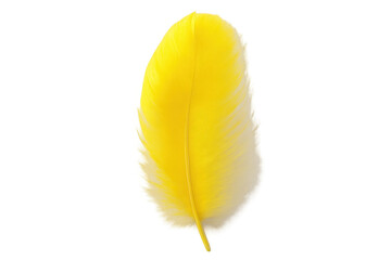 Poster - Single vibrant yellow feather isolated on a transparent background, perfect for design projects needing a touch of lightness and color