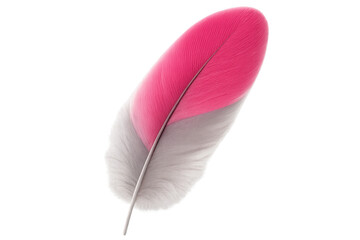 Poster - Soft, delicate feather with vibrant pink and white hues, isolated on a transparent background, ideal for creative projects