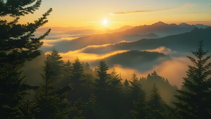 Wall Mural - A beautiful orange and blue sky reflects the serene sunrise over a misty mountain lake, with trees silhouetted against the morning clouds